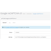 Google reCAPTCHA v2/v3 + Admin protection
